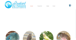 Desktop Screenshot of lovebirdduparadis.com